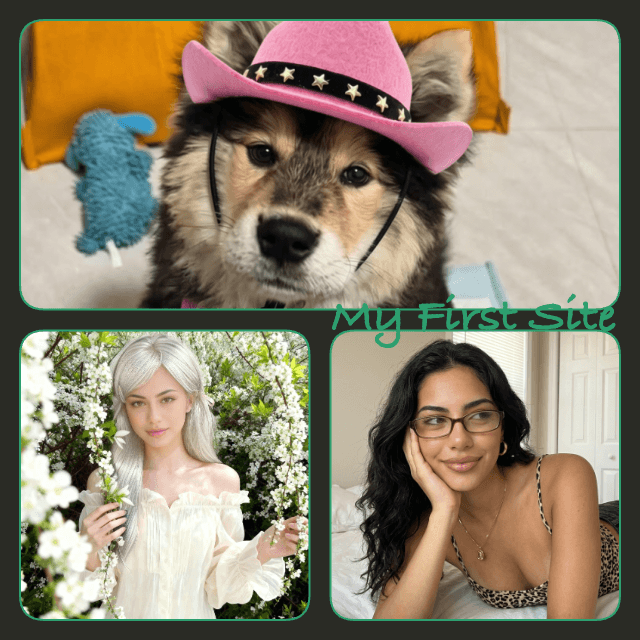 Image combiner with customizable borders, spacing, and background color.